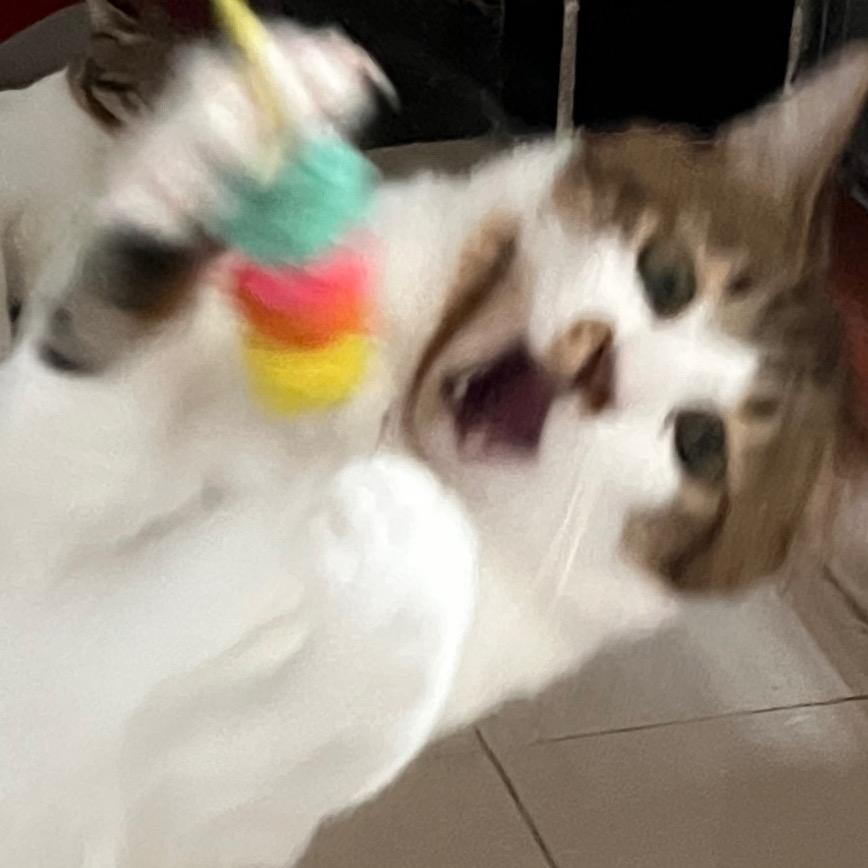 八块腹肌叽叽叽叽