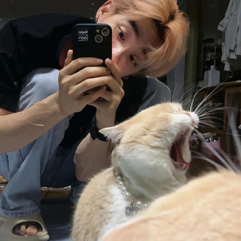 琦.