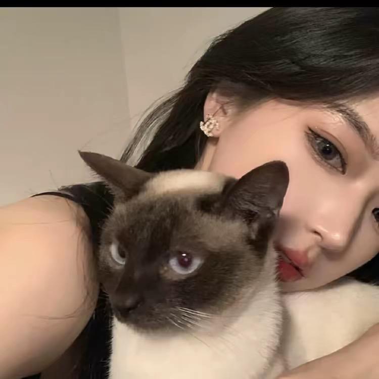 政政好物