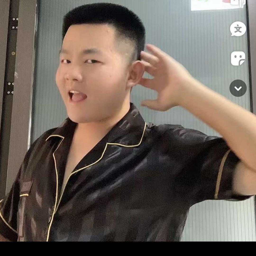 迪达拉鲜肉狗粮1