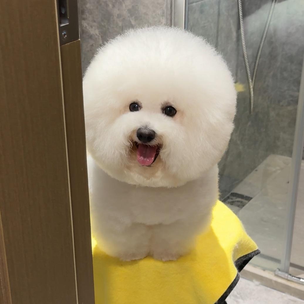 小憨憨