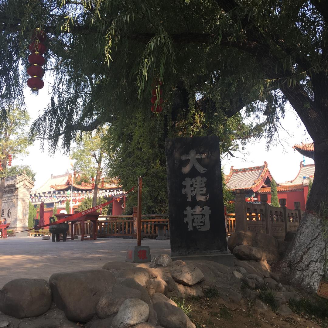 梦想