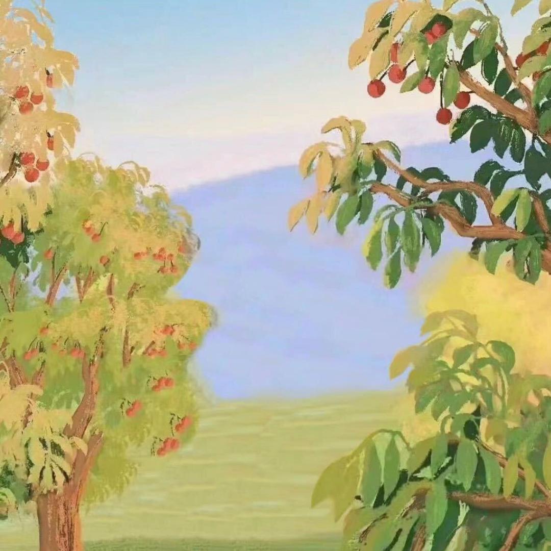 我方队友在哪里