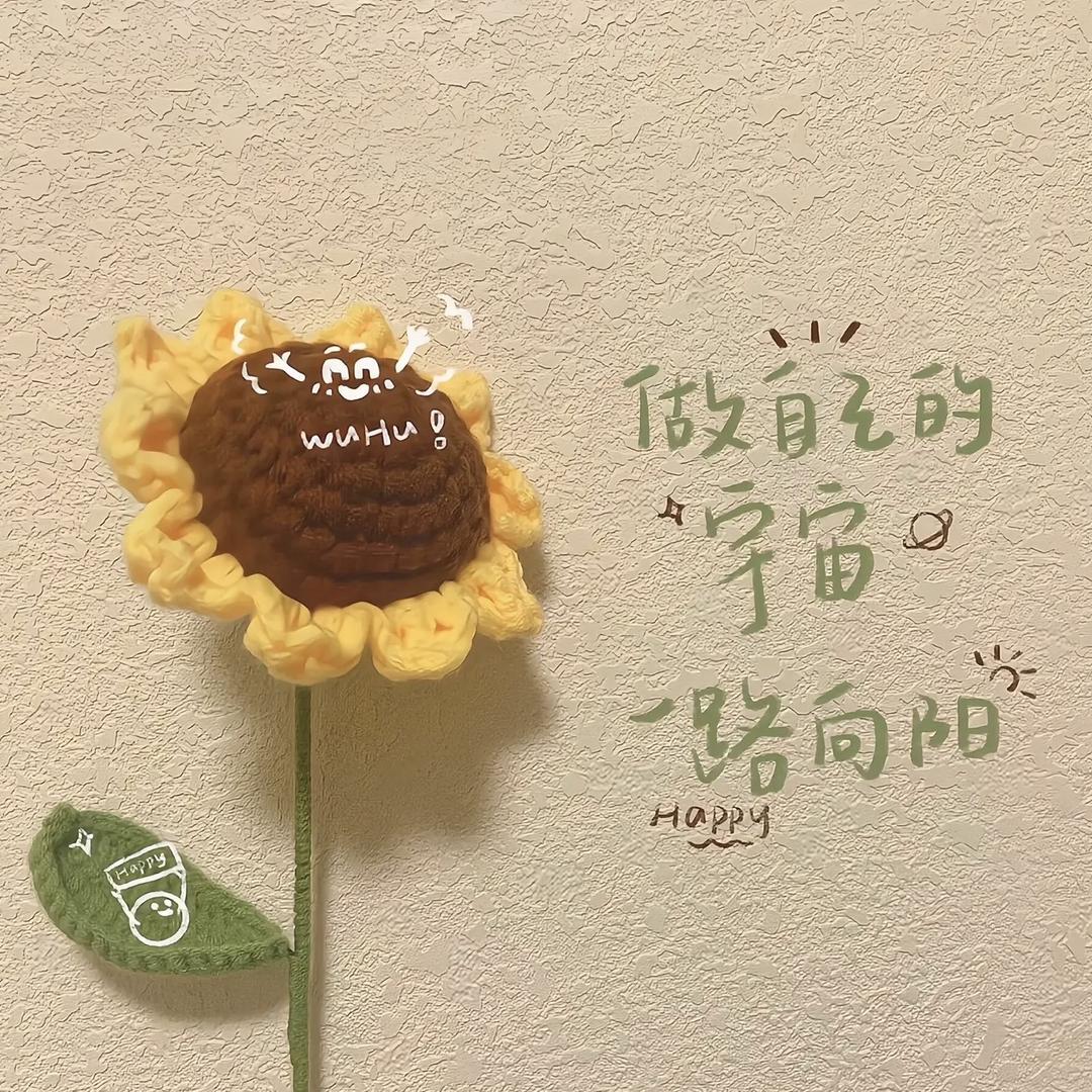 YZbaixiaoyu