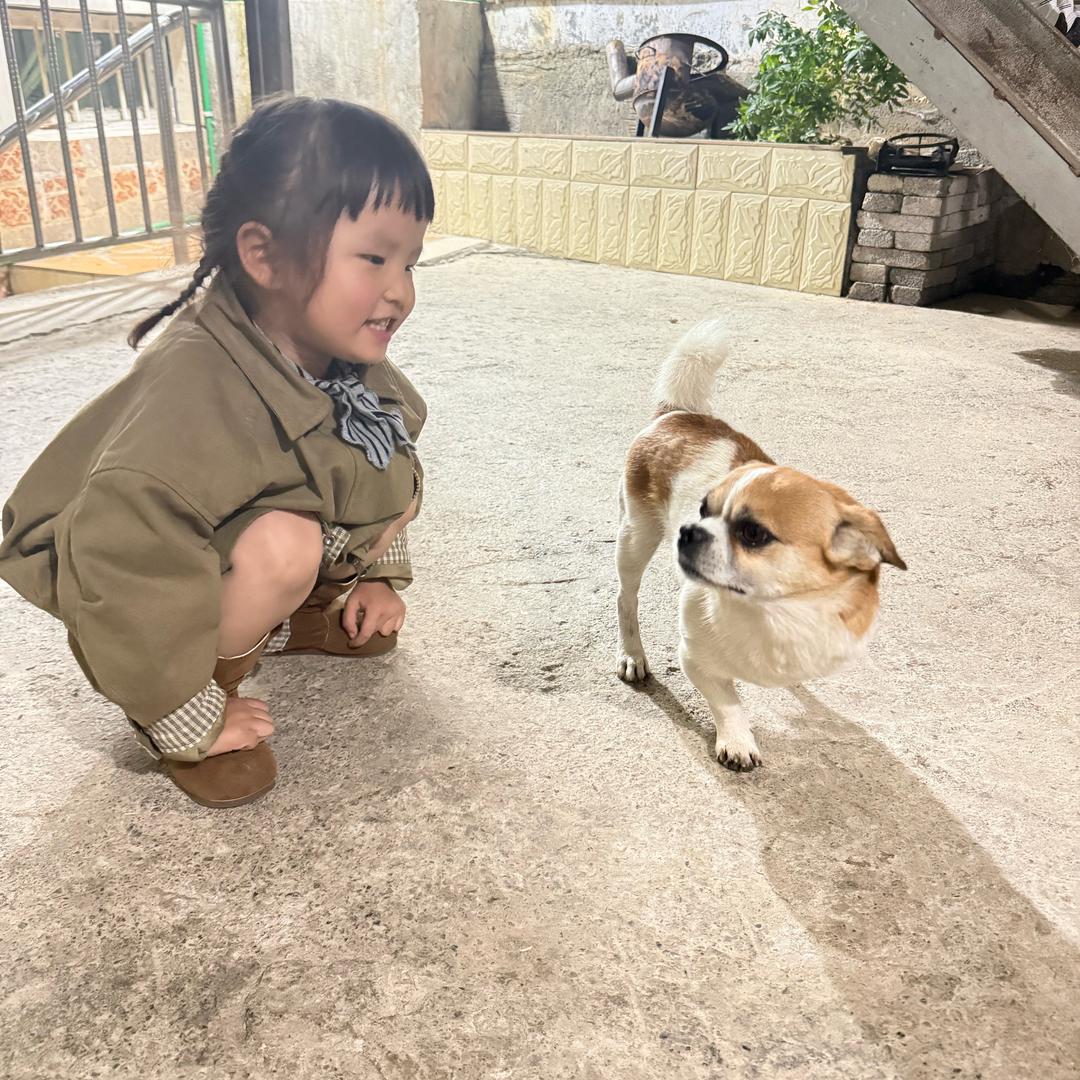 .   云儿