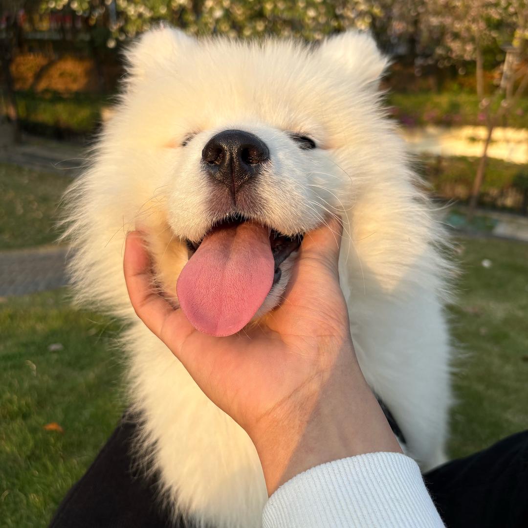 奈何.