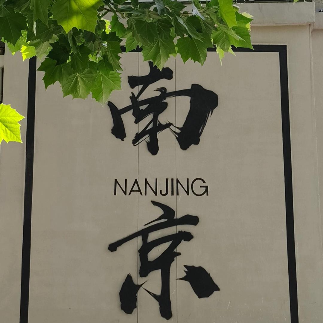邂逅南京❤️