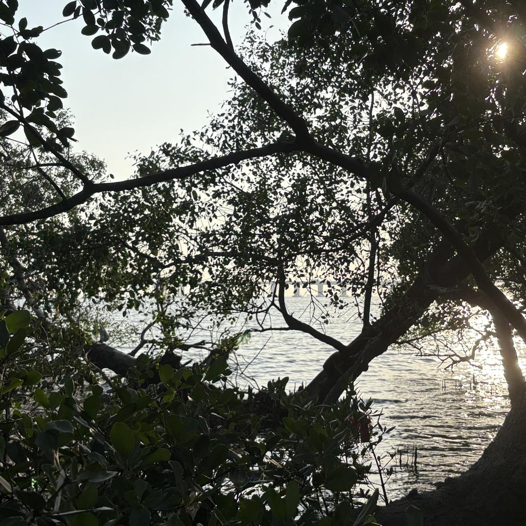 吉吉家照明百货严选铺