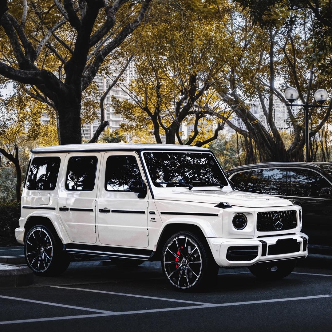 浪川文化直播号