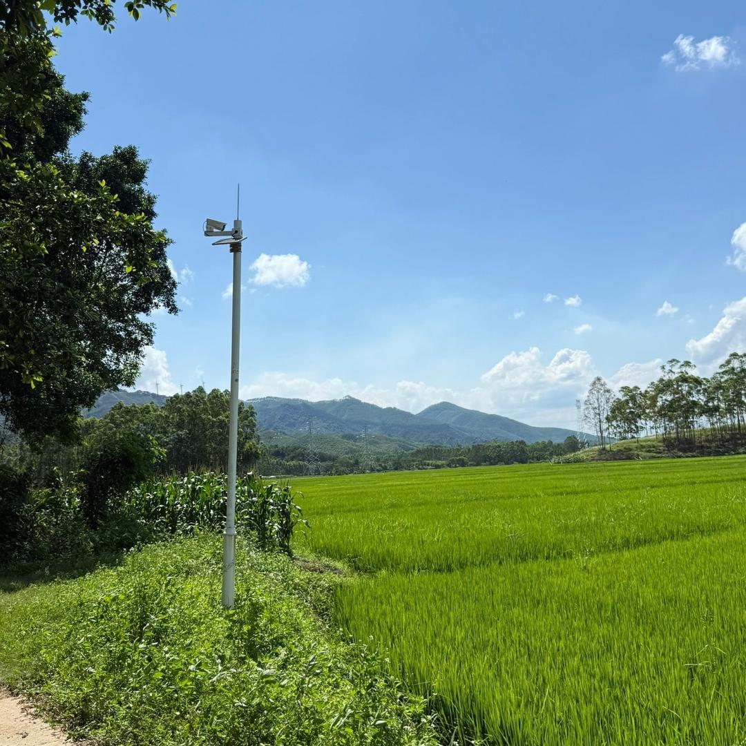 小圆