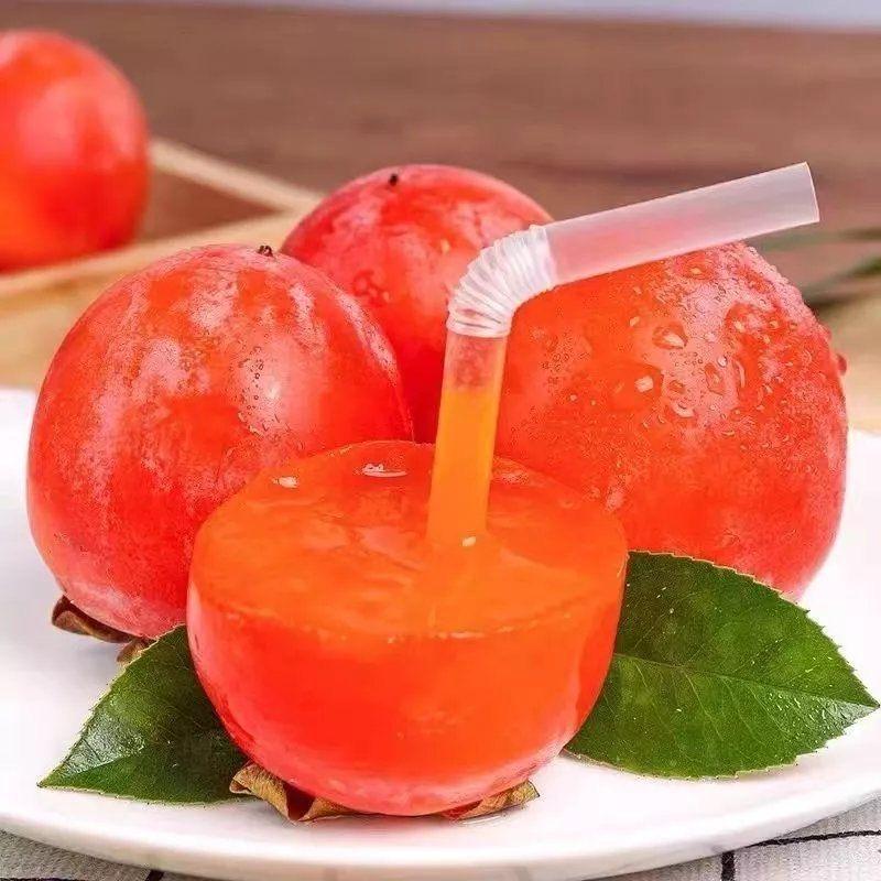 祥铭果树苗木专营店