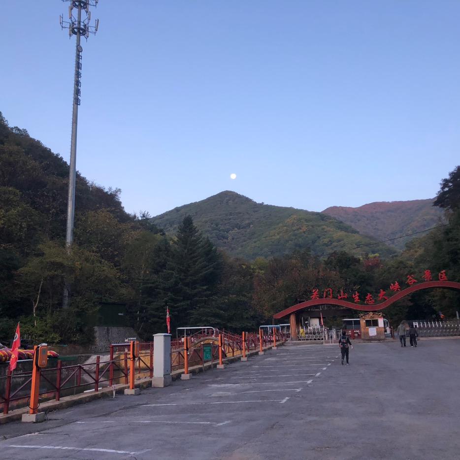 刘哥
