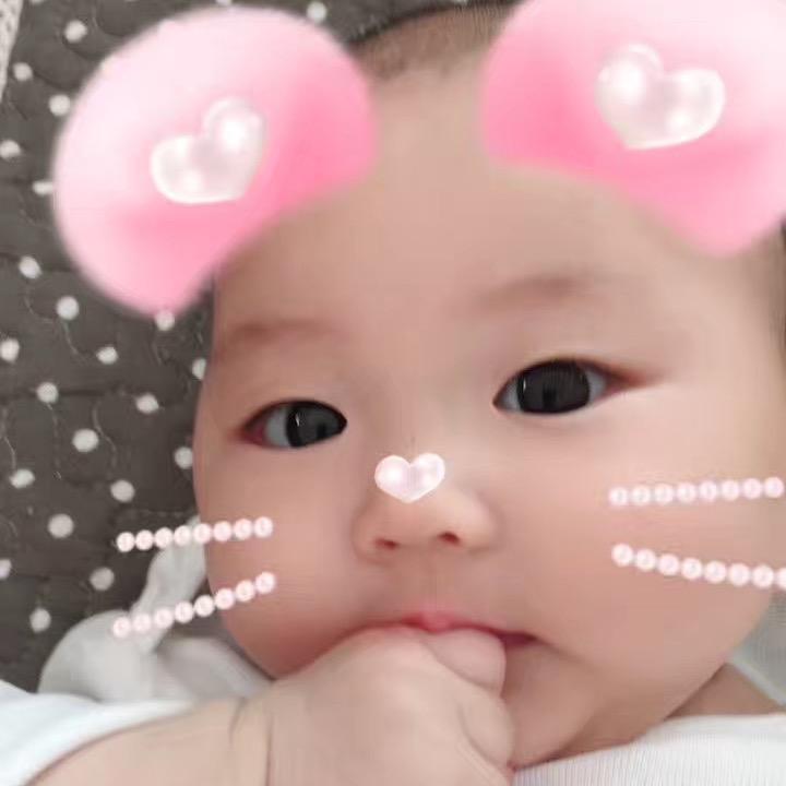 小米粥🐬