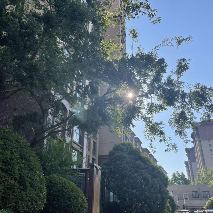 荟萃楼珠宝小丽