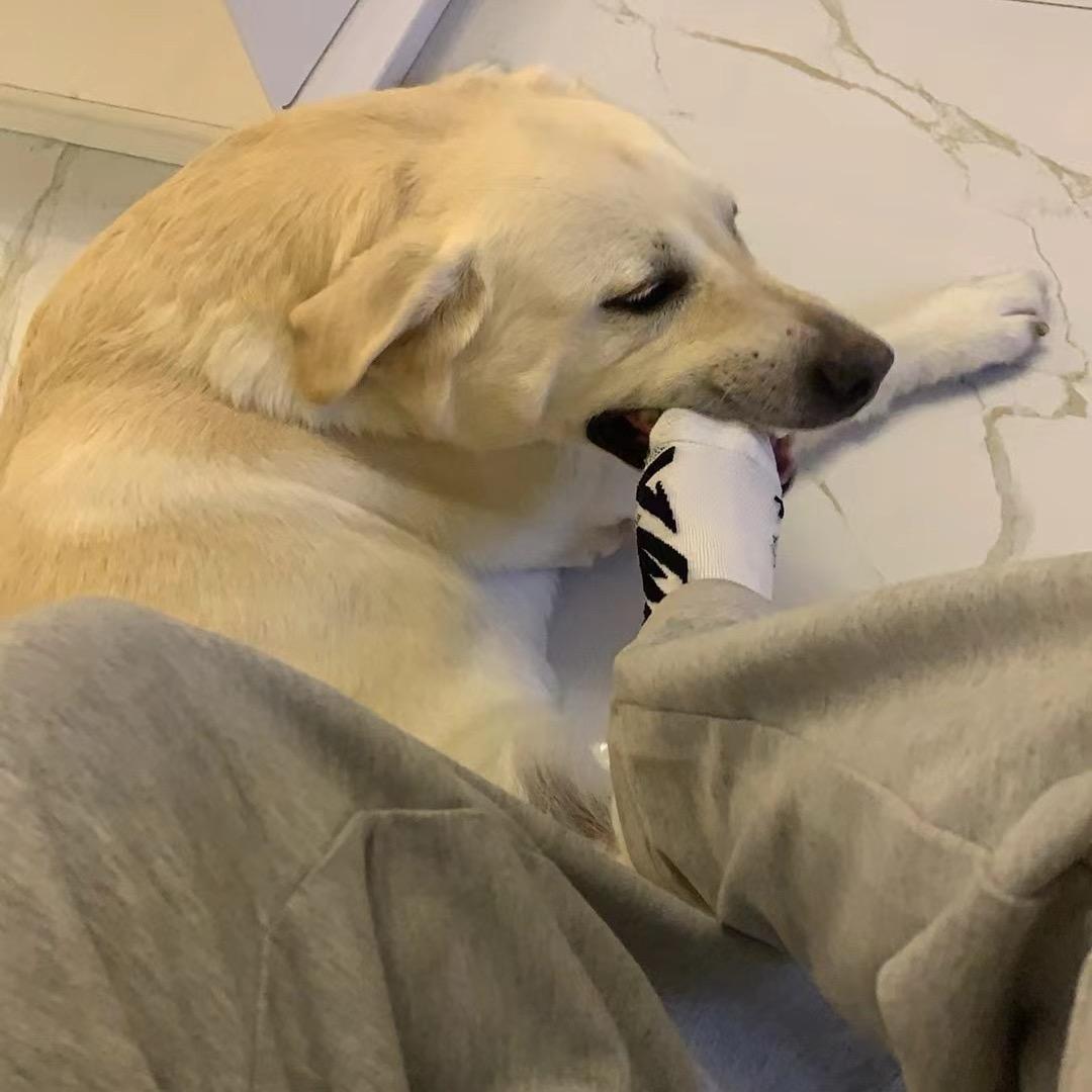 毛线🧶
