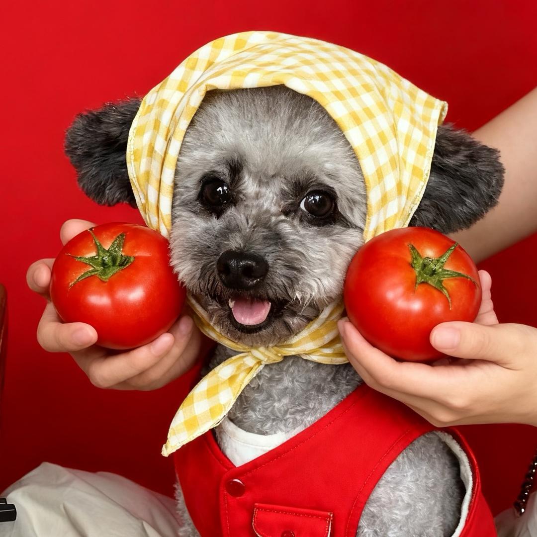 会挖宝的多多妈