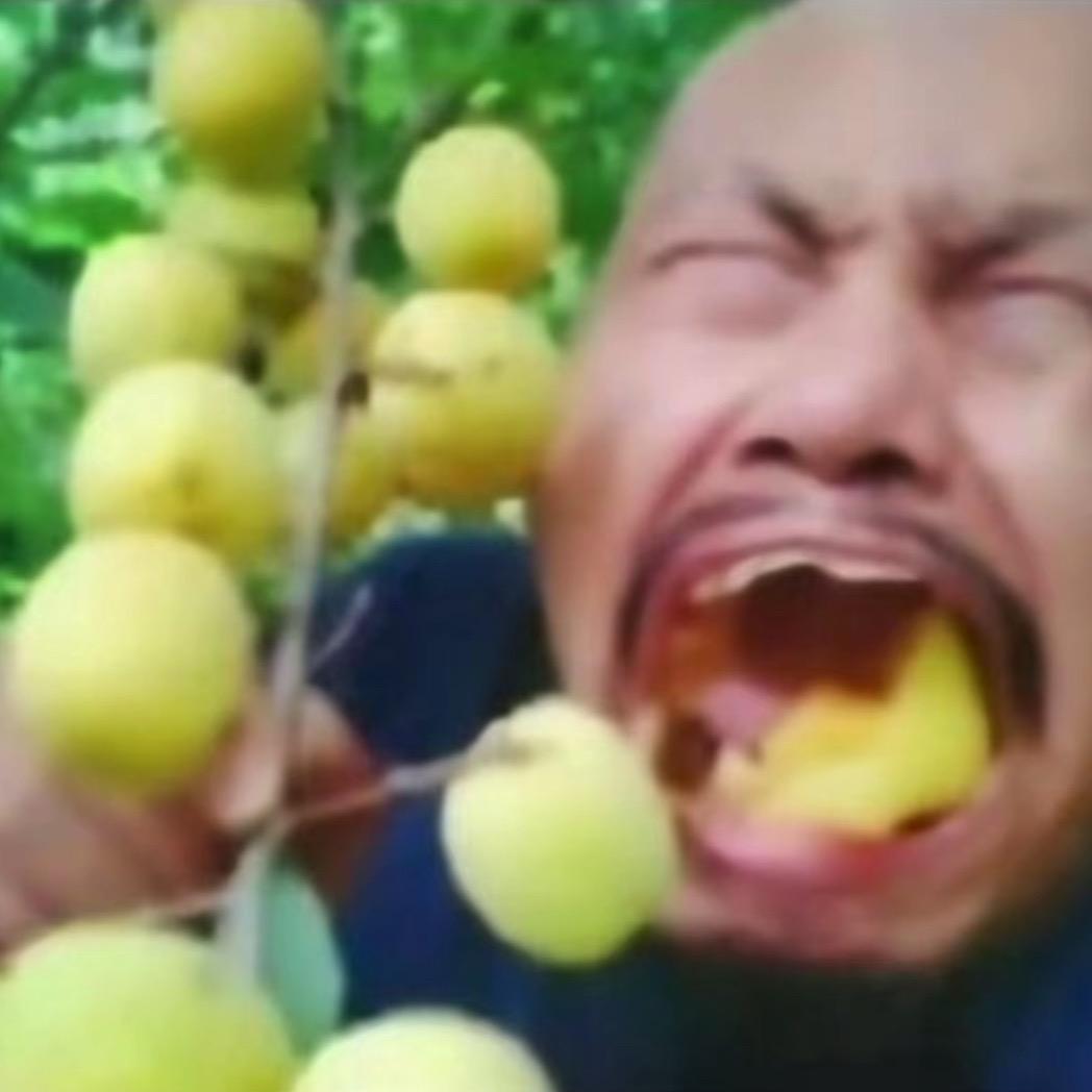 咩咩羊洗衣烘干农科网点