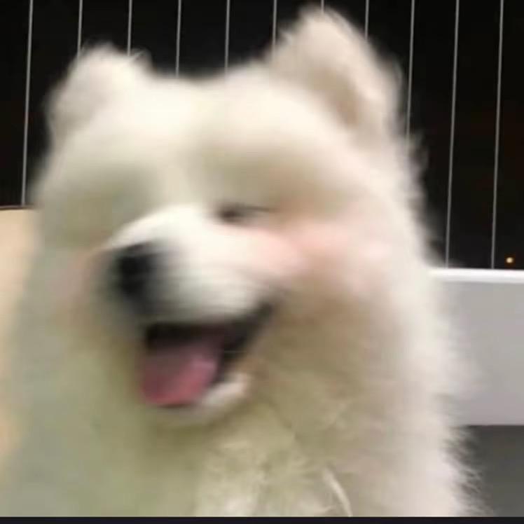 拿铁
