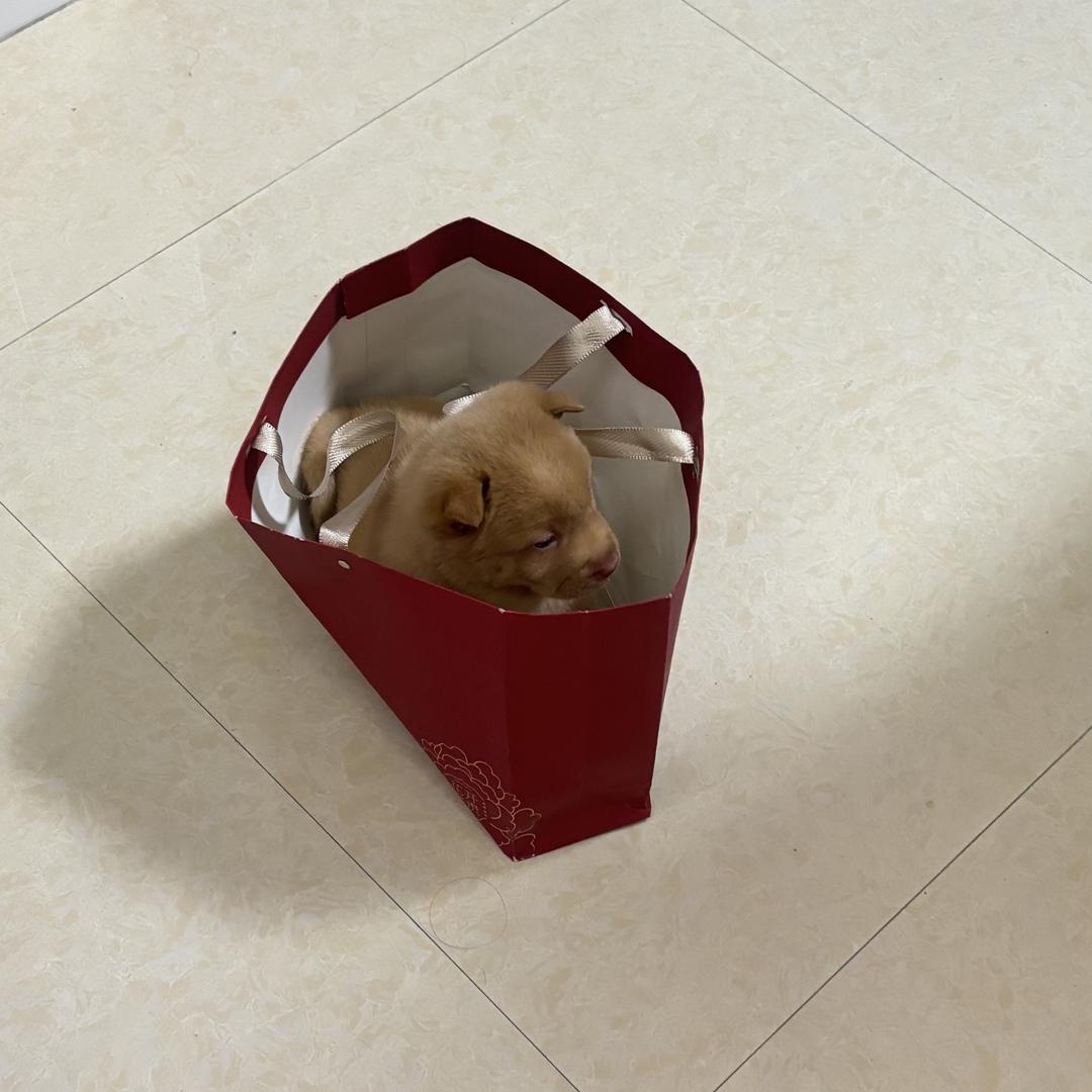 纠纠纠