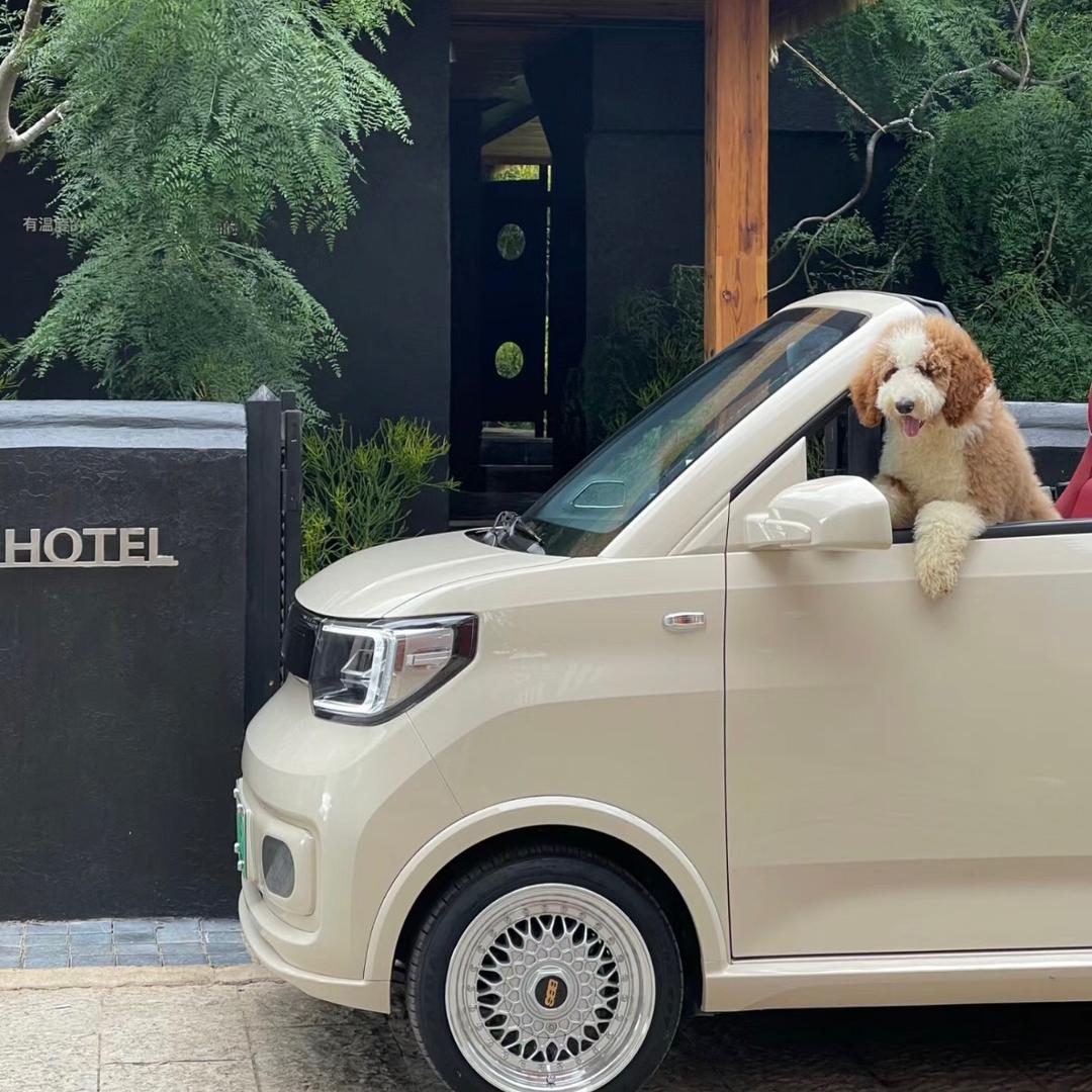 环岛电车租赁（养马岛店）