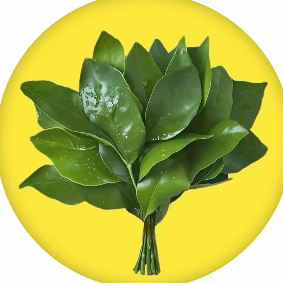 小米喳（米米喳）