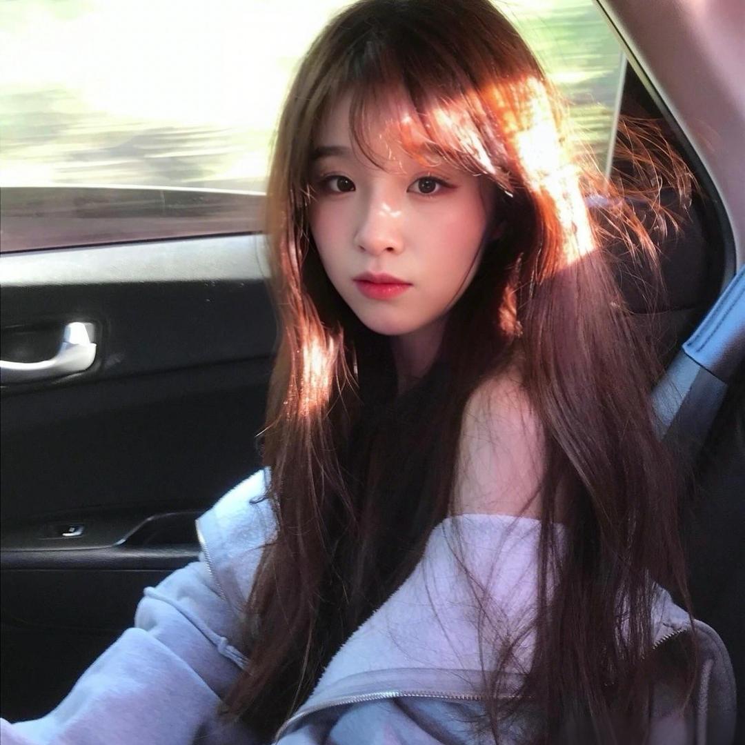 果冻小姐.