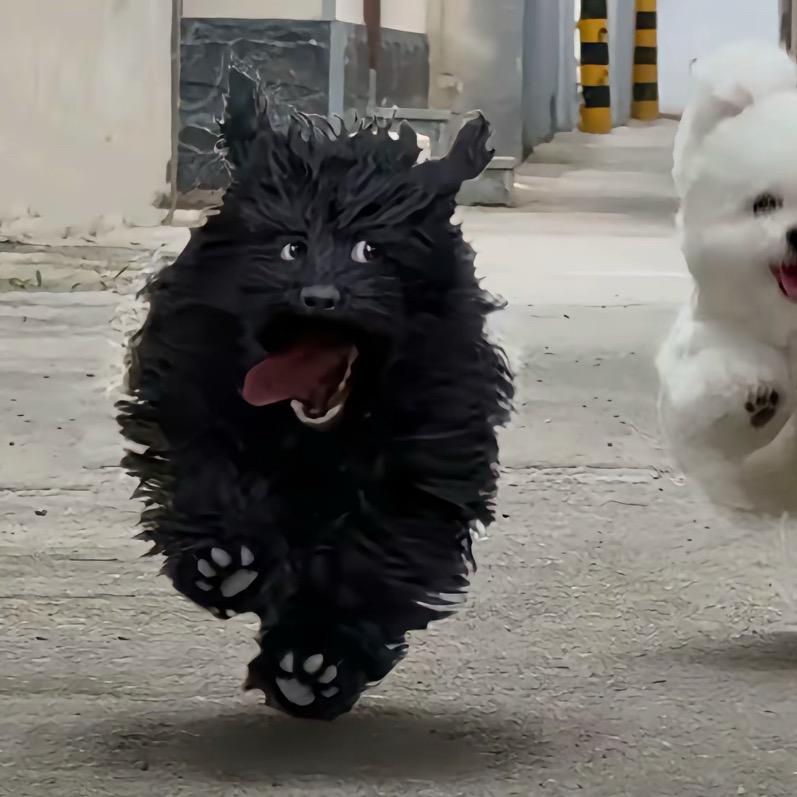 玥玥🙉