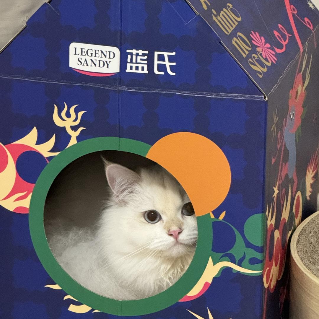 豆子的小店.