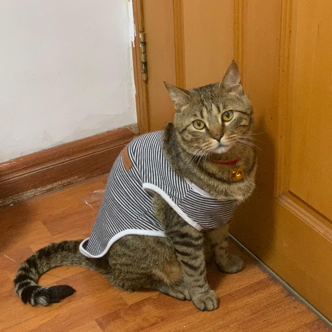 臭臭不要生病