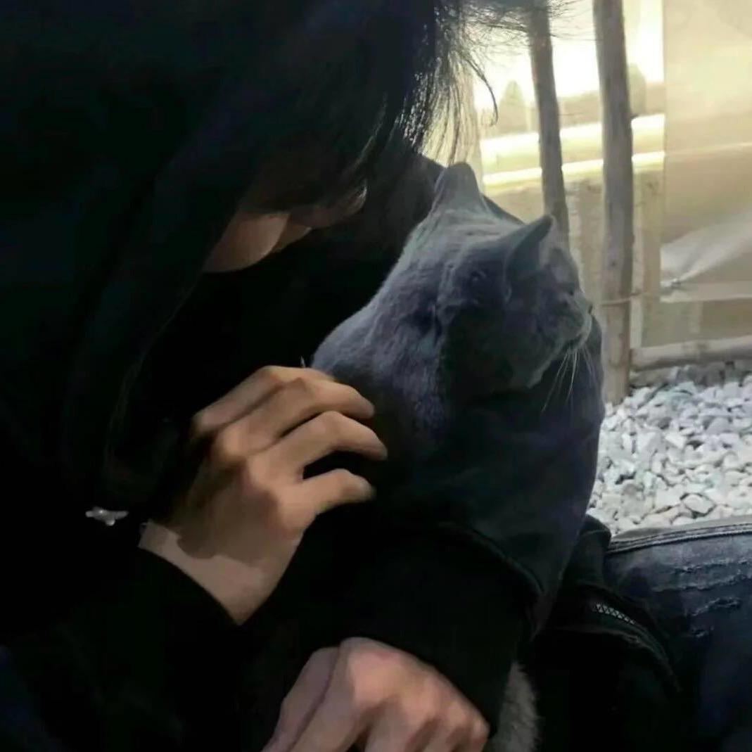 苏隐