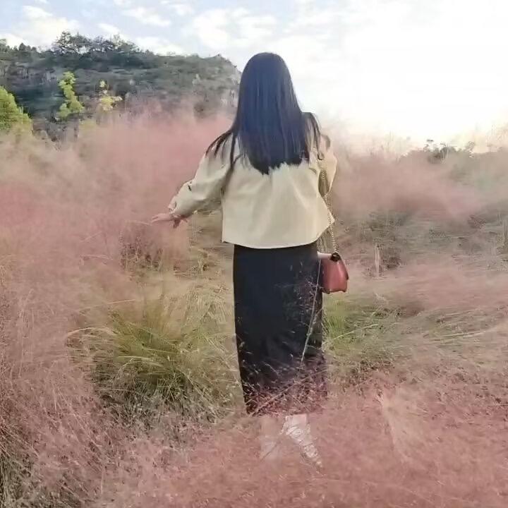 李照照