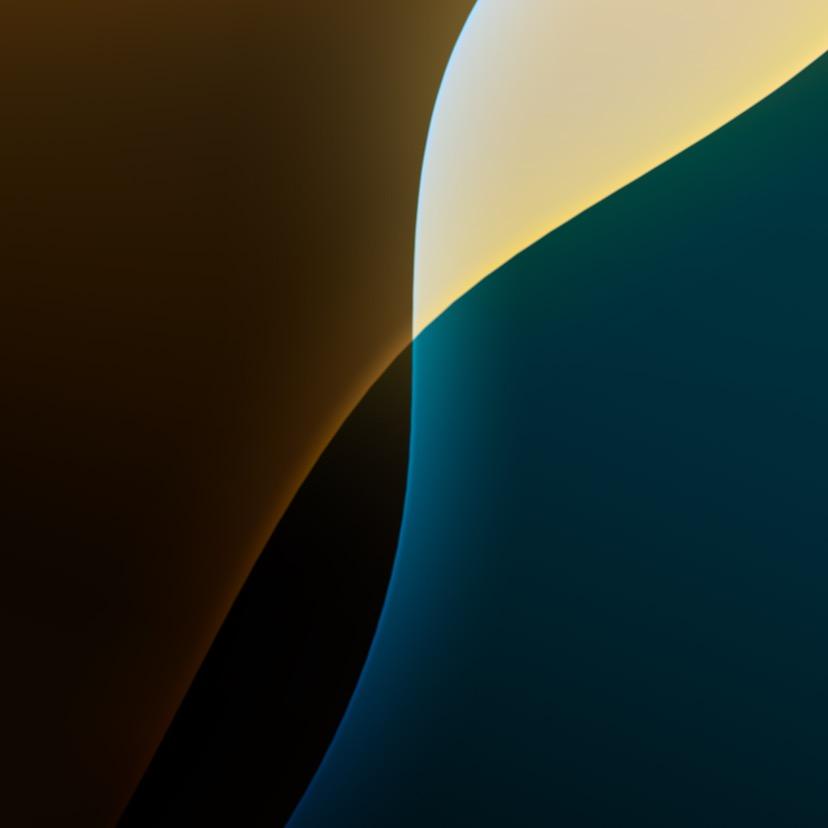 356种84979741直播号