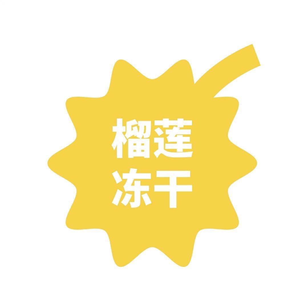 榴莲冻干聊设计