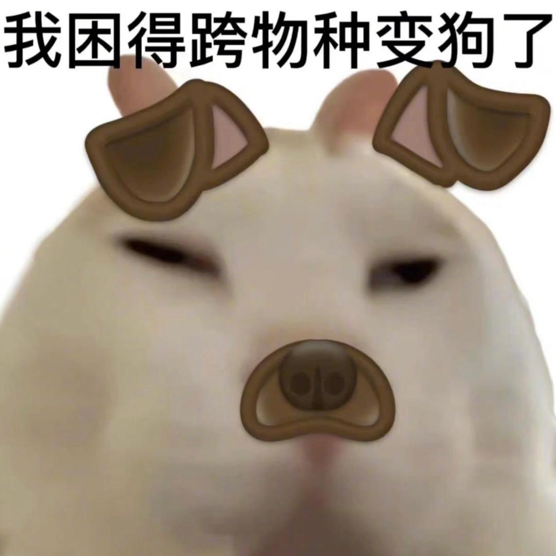 困死了