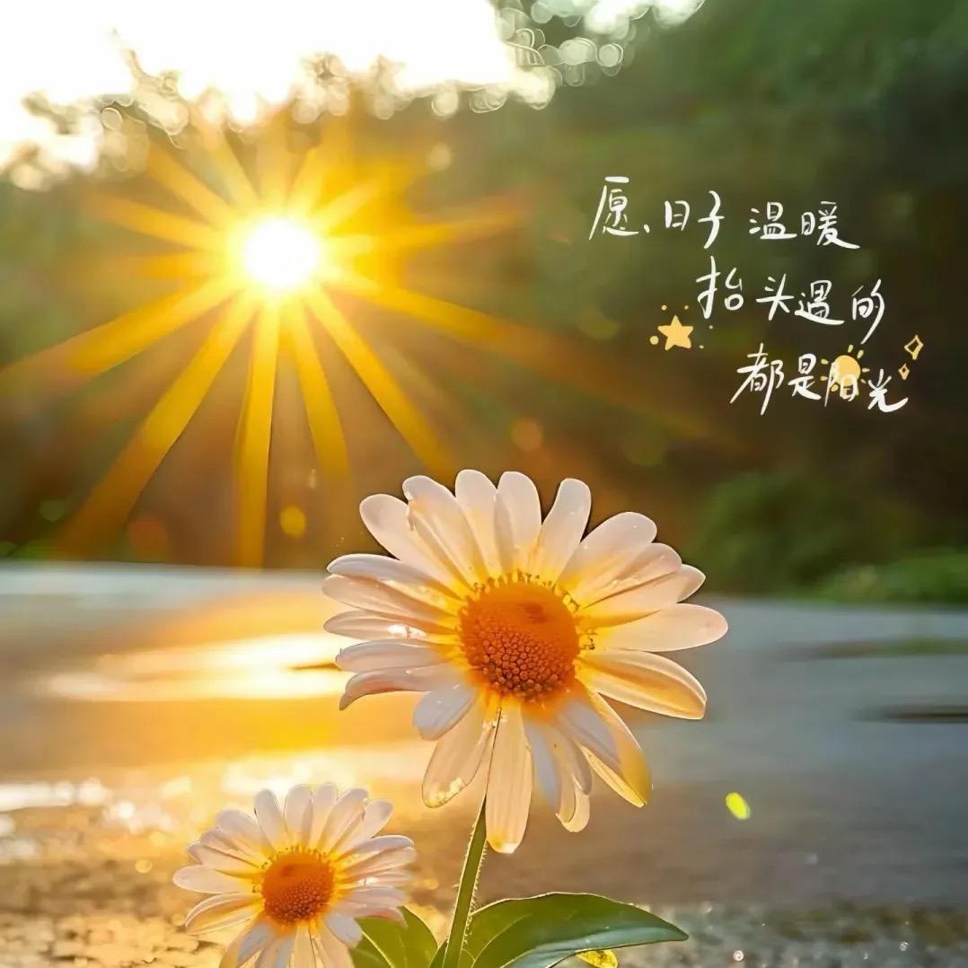 ꧁ღ微笑前行🇨🇳꧂