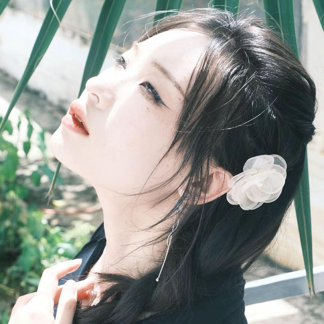鹤he