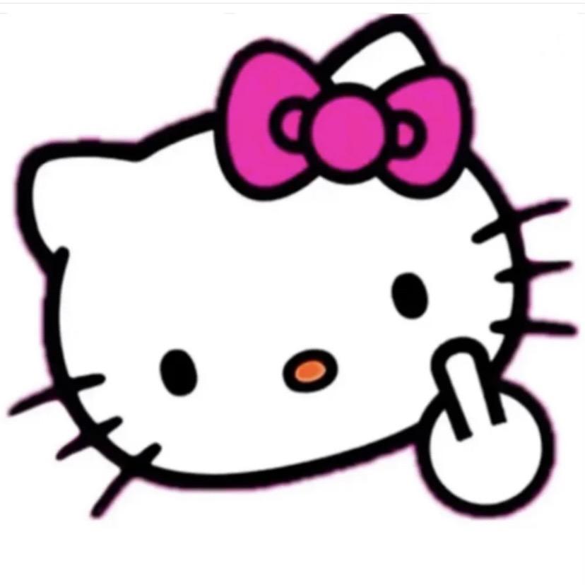 落难kt猫