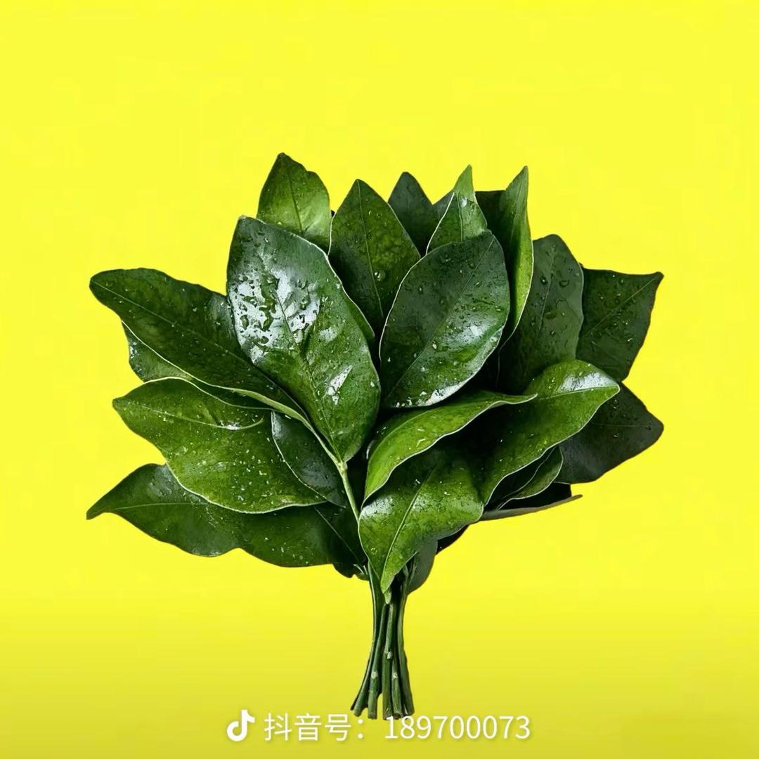 王哪跑  w❤️