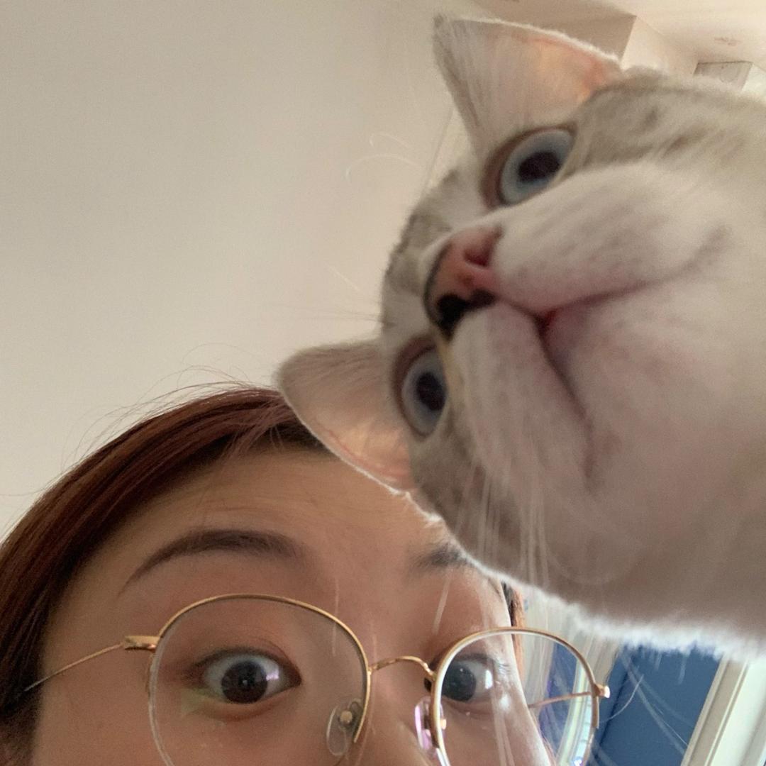 钱多多没有钱💰