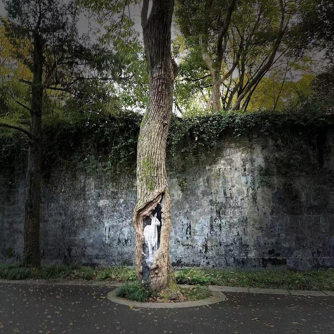 婉安