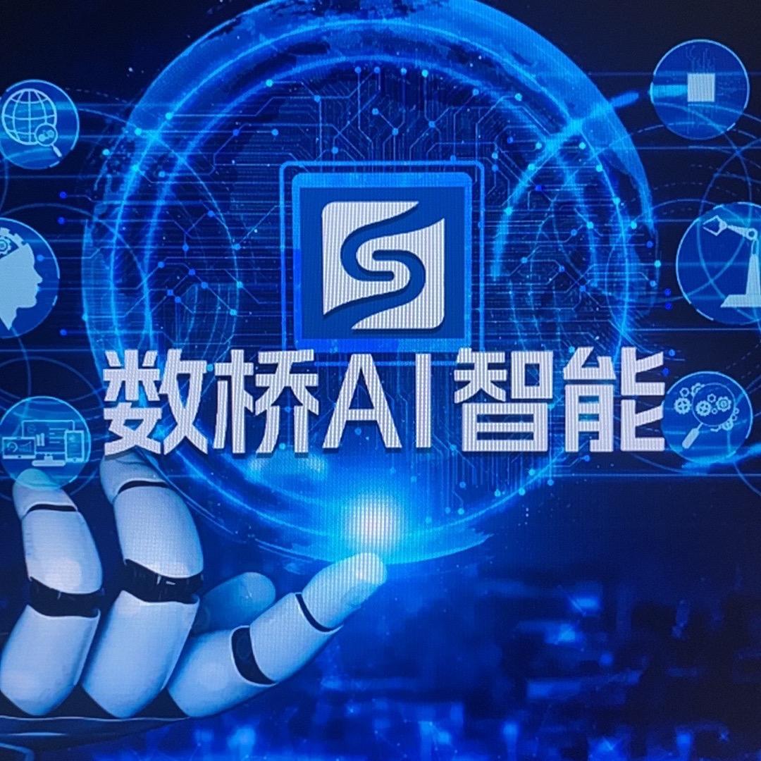 数桥智能(墨研瀚策)