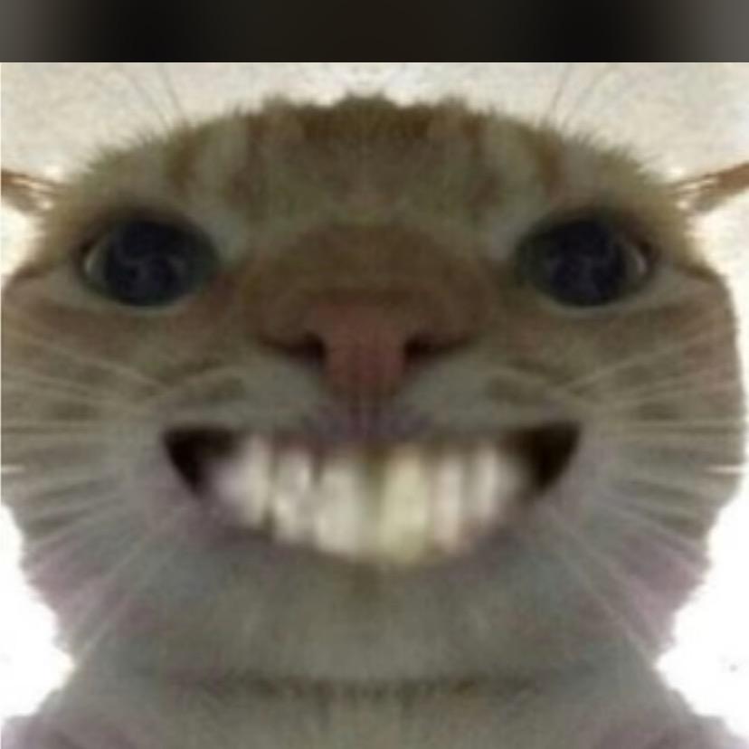 猫了个me