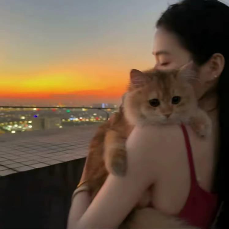 酸酸.