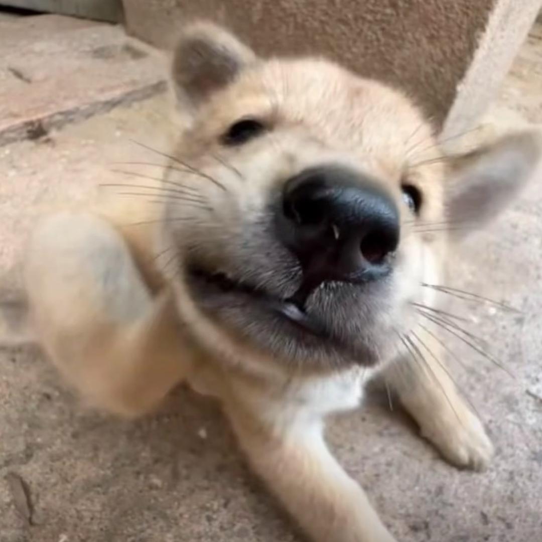 颜