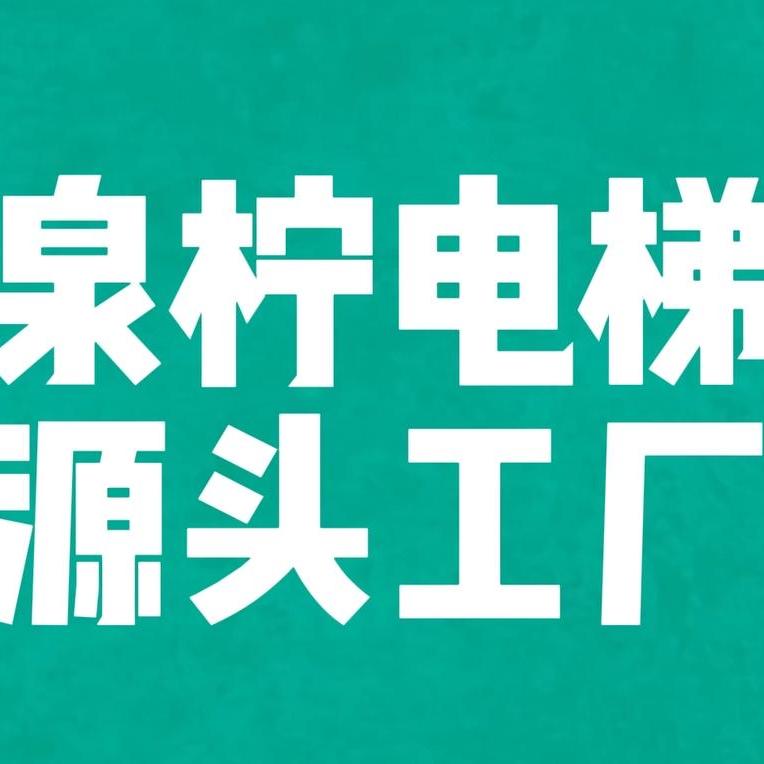 泉柠电梯源头工厂（厂家直销）