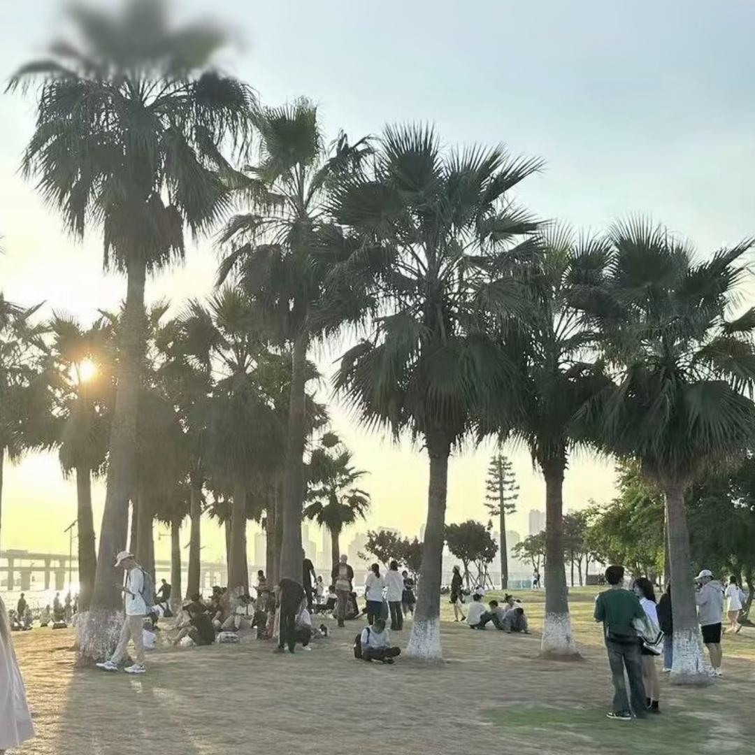 艾丽