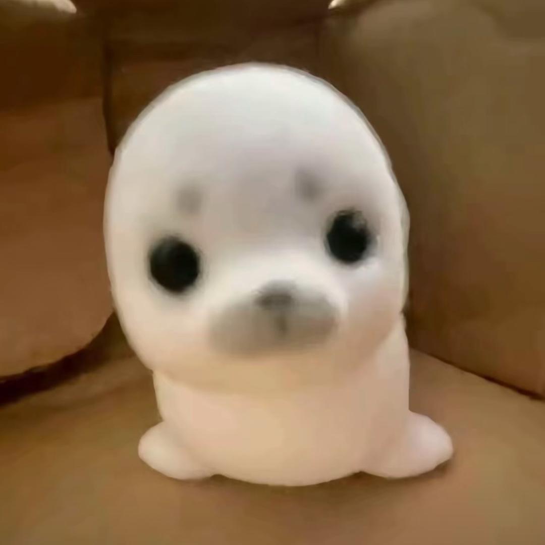 咋整啊