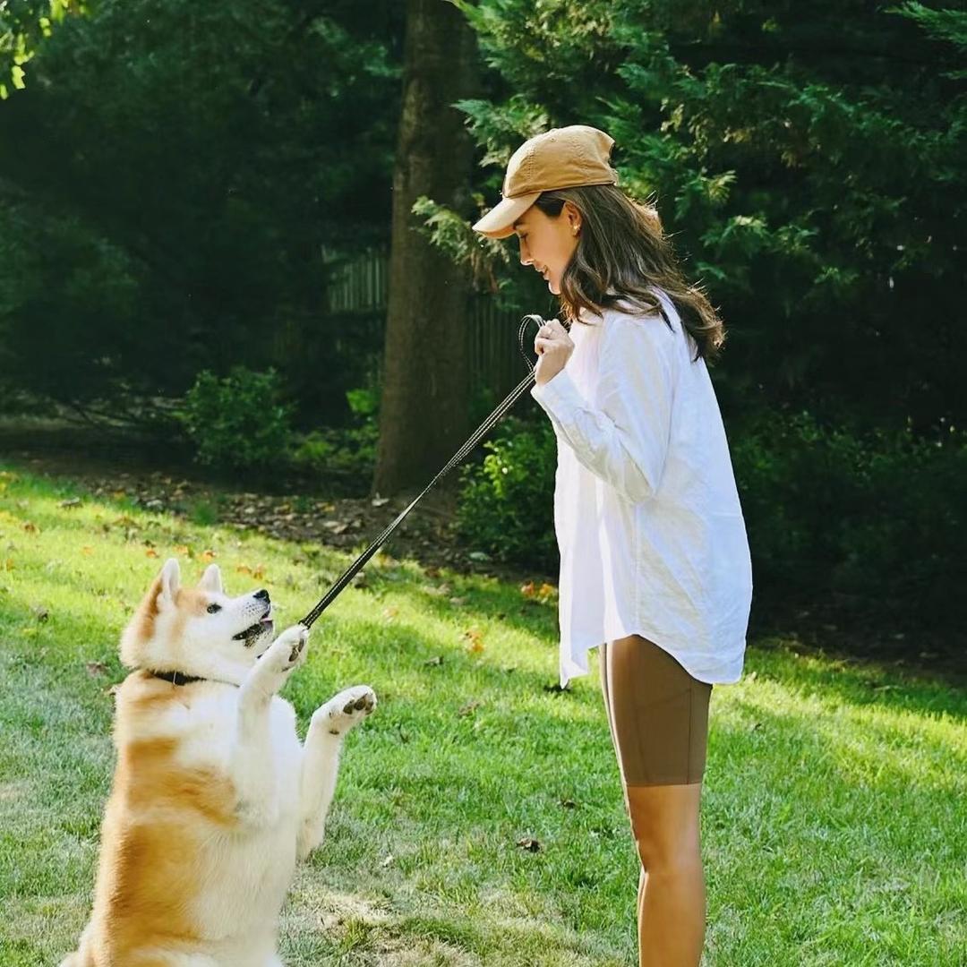唐山昌旭秋田犬柴犬基地1️⃣