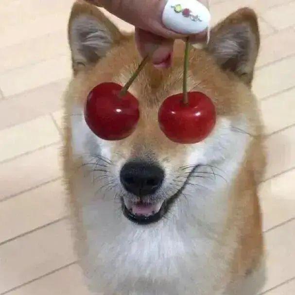 抖音仙云
