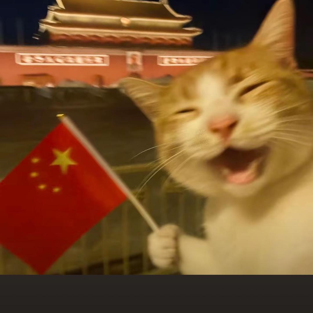喵锤